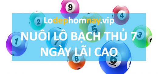 Kinh nghiệm chơi lô nuôi max 7 ngày Miền Bắc